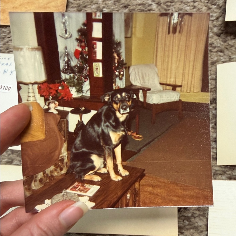 Vintage Photo Collection - Picture 10 of 11